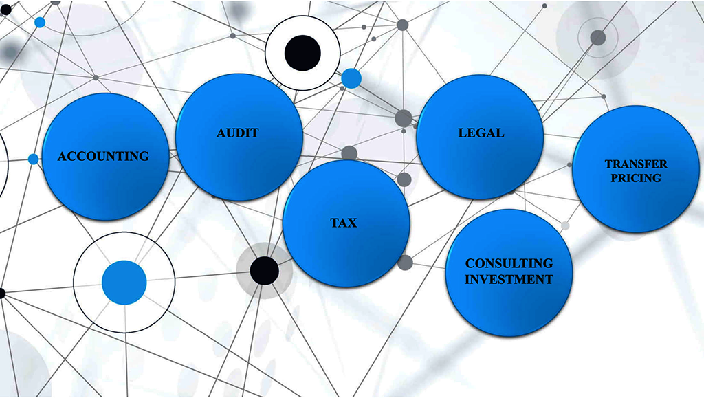 베트남 회계법인 회계,세무,법인 설립 전문 임마누엘 회계법인-Kiểm Toán
